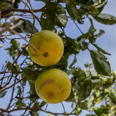 Guestready - Casa Do Visconde