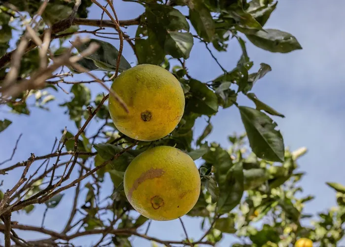 Guestready - Casa Do Visconde